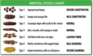 Bristol stool Constipation